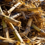Crop Residue